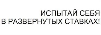 Товарный знак № 2024738027