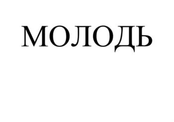 Товарный знак № 2025810825